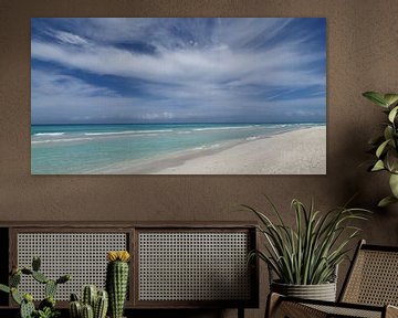 Beach on the Atlantic, Cuba, motif 5 by zam art