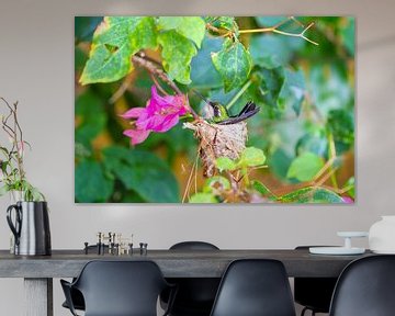 Kolibrie nest bloem van Roel Jungslager