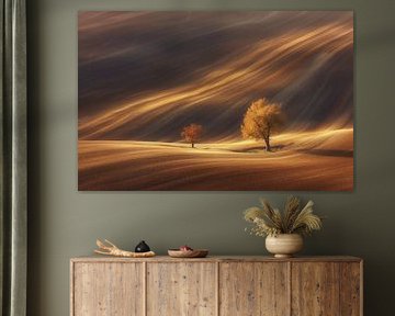 Eenzaam herfstlandschap