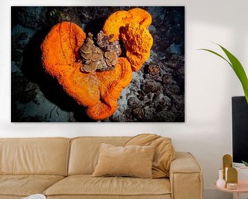 heart sponge by Roel Jungslager