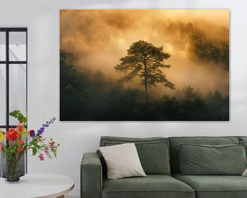 Mystischer Herbstwald von oben