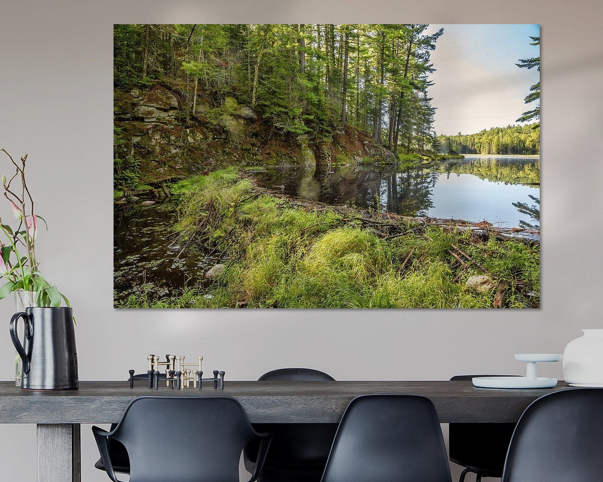Aperçu de la chambre