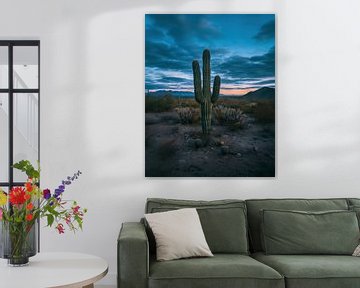 Blauw uur in Arizona van fernlichtsicht