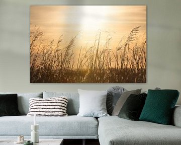 Riet in de Warme Gloed van de Ondergaande Zon | zonsondergang | fotobehang van Laura Dijkslag