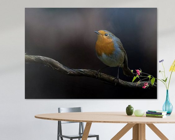 Aperçu de la chambre