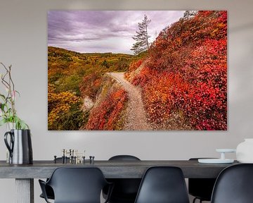 Wig bushes in Jena in autumn by Marcus Beckert