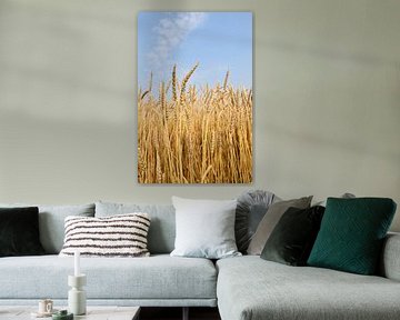 A wheat field in summer by Claude Laprise