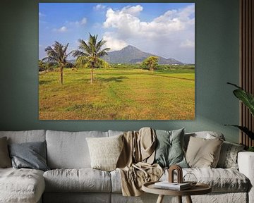 The sacred mountain Arunachala in Tamil Nadu India Asia by Eye on You