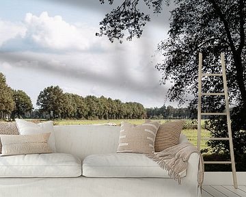 Kühe auf der sonnenbeschienenen Wiese von Heleen. Visual Storytelling