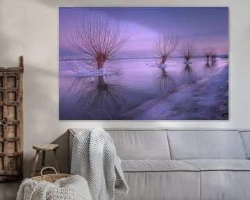 Glace autour des saules têtards dans un paysage hivernal