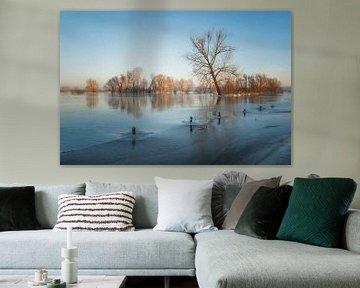 Trees in the water by Moetwil en van Dijk - Fotografie