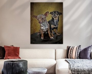 Two small chihuahua dogs by Egon Zitter