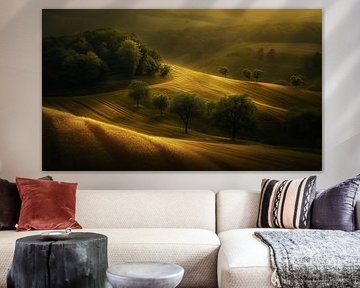 Ausblick auf Hügellandschaft