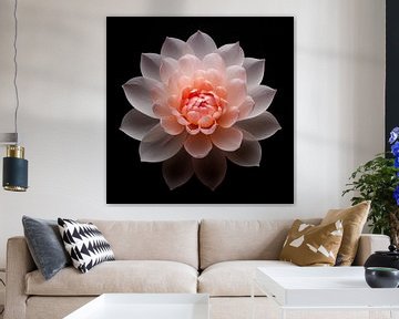 Lotus bloem perzik kleur van TheXclusive Art