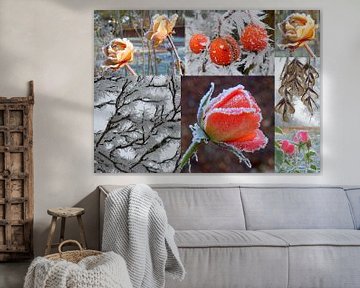 Amazing Roses by Playful Art