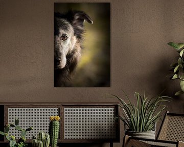 Portret hond van Lars Detges