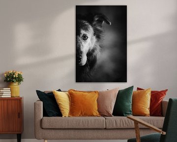 Portret hond zwart-wit van Lars Detges