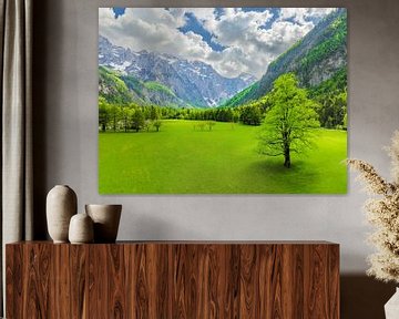 Das Logar-Tal in den Kamniker Savinja-Alpen im Frühling von Sjoerd van der Wal Fotografie