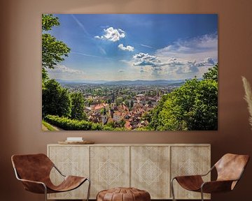 Ljubljana uitzicht op de stad vanaf de heuvel van het Ljubljanski grad kasteel van Sjoerd van der Wal Fotografie