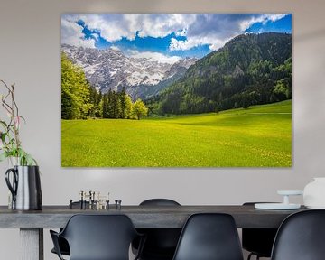 Alpine valley view during springtime by Sjoerd van der Wal Photography