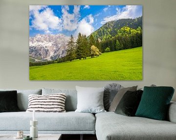 Blick auf das Alpental im Frühling von Sjoerd van der Wal Fotografie