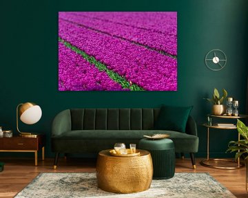 Champ de tulipes violettes un jour de printemps. sur Sjoerd van der Wal Photographie