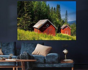 Summer in Norway with red barns