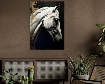 Wit paard van Andreas Magnusson