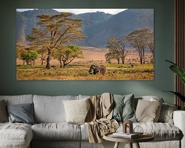 olifant in de Ngorongoro krater van Paul Jespers