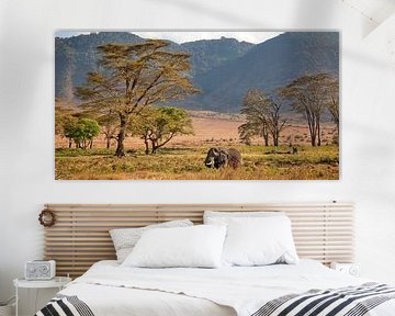 olifant in de Ngorongoro krater van Paul Jespers