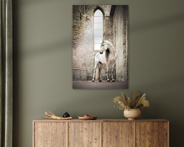 Weißes Pferd in alter Kirche | Pferdefotografie | Hengst von Laura Dijkslag