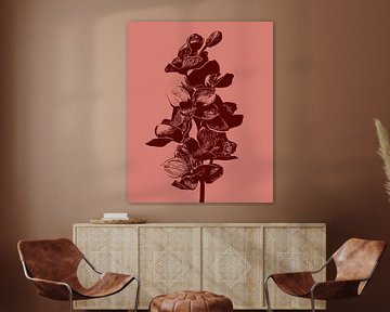 Orchidée | Illustration | Plante | Dessin sur Jansje Kamphuis