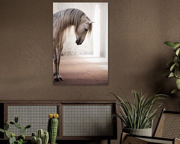 Portret van wit paard in een oude kerk | hengst | paardenfotografie van Laura Dijkslag