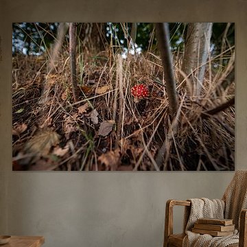 Rouge à points blancs