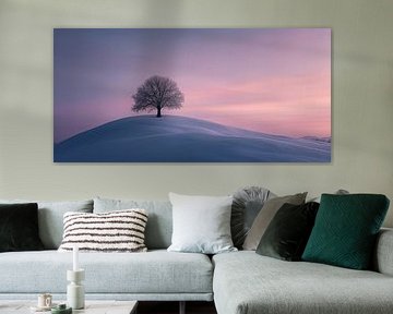 Arbre d'hiver dans la magie du soir