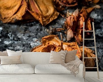 Dried up colourful flowers in cemetery by Jack Tummers