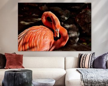 Flamingo auf Curaçao von Karel Frielink