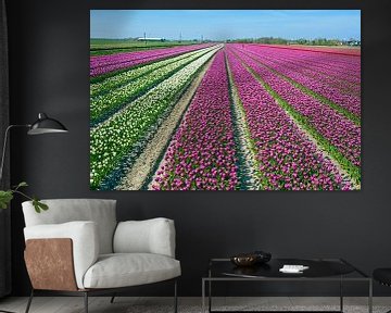 Luchtfoto van bloeiende tulpenvelden in de lente bij Lisse in Nederland van Eye on You