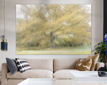 Tree in autumn colours by Lucia Leemans