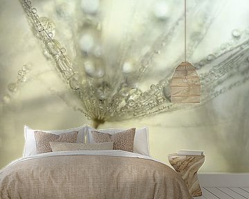 Pastel colour: Drops on a fluff of a dandelion by Marjolijn van den Berg