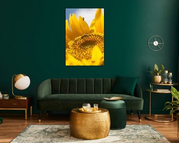 Sunflower by Eric Verhoeven