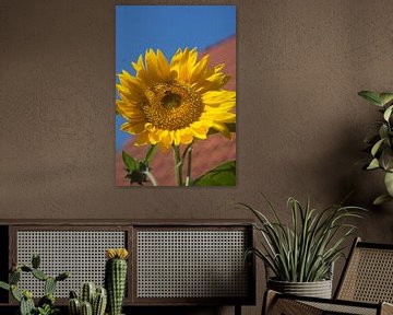 Sunflower by Eric Verhoeven