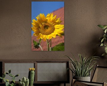 Sunflower by Eric Verhoeven