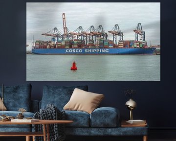 Cosco Shipping Leo container ship. by Jaap van den Berg