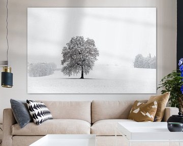 Eenzame boom in een besneeuwd winterlandschap van José IJedema