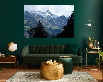 Uitzicht op de bergen in Zwitserland van Idema Media