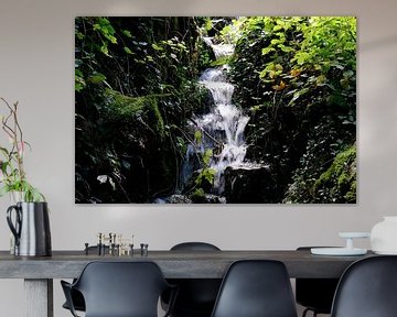 Waterfall flows down through the foliage by Idema Media