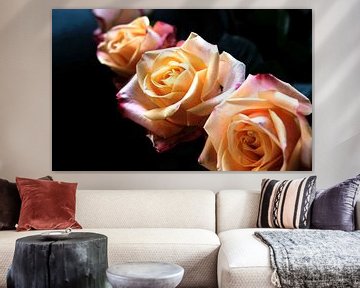 Three roses on a dark background by Idema Media