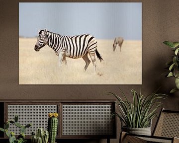 Zebra's in Etosha NP Namibie van Ellen van Drunen