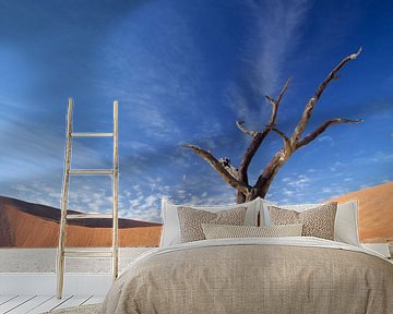 Deadvlei Namibia von Ellen van Drunen